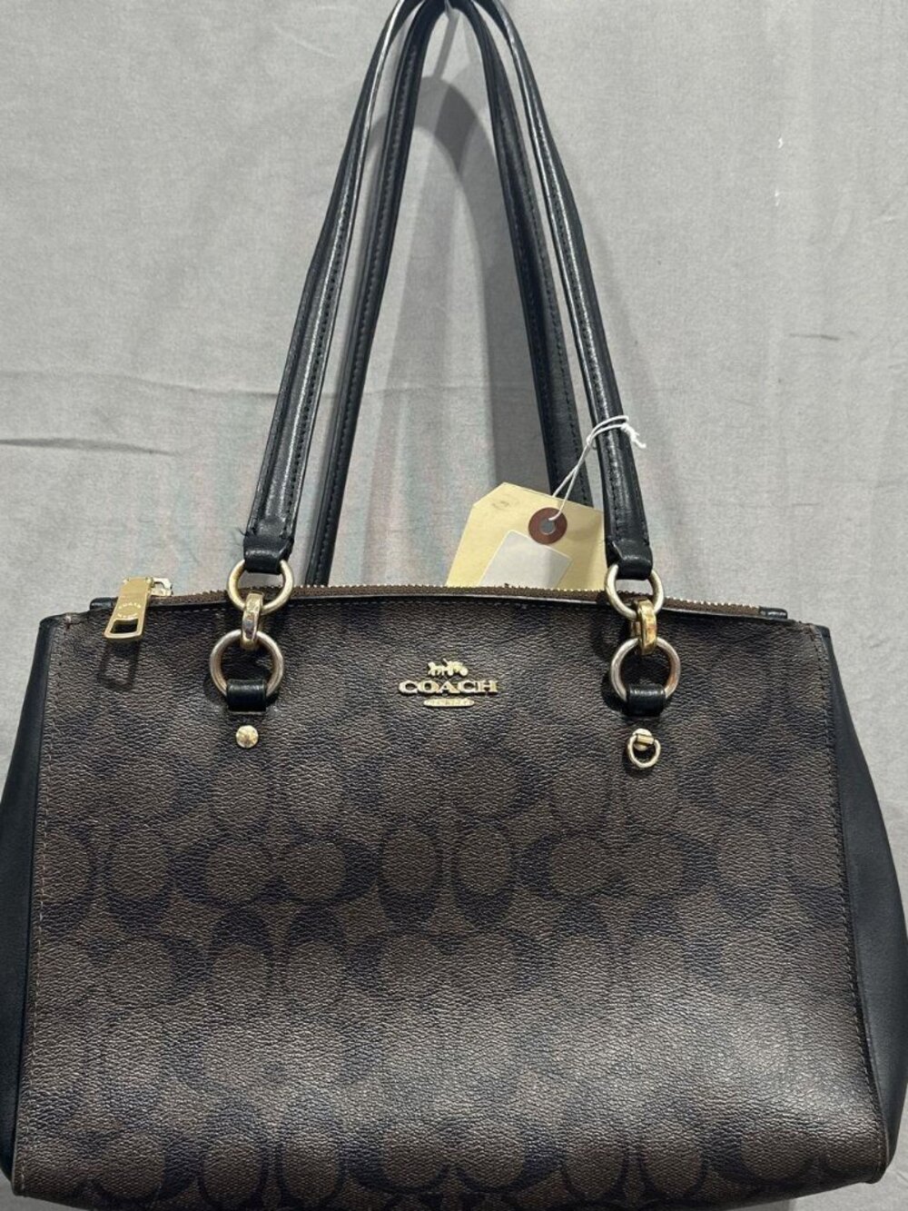 Coach Etta Carryall